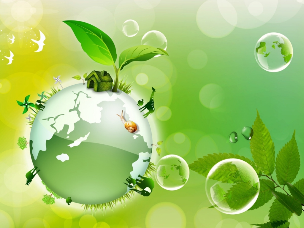 12 мая - День экологического образования